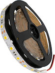 GloboStar LED Streifen Versorgung 12V mit Warmes Weiß Licht Länge 5m und 60 LED pro Meter SMD5050