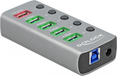 DeLock USB 3.2 Hub 6 Anschlüsse mit USB-A Verbindung & Ladeanschluss und Externe Stromversorgung Gray