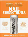 Nature's Plus Nail Strengthener Nail Hardener with Vitamins with Brush 7.4ml