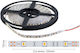 Spot Light Waterproof LED Strip 24V Warm White Light 5m Type COB