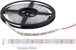 Spot Light Waterproof LED Strip Power Supply 12V with Warm White Light Length 5m and 60 LEDs per Meter