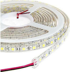 Bandă LED Alimentare 12V cu Lumină Roșu Lungime 5m și 60 LED-uri pe Metru