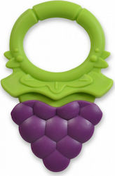 Kaichi Fruit Tree Beißspielzeug für Zahnen aus Kautschuk für 6 m+ Weintrauben 1Stück