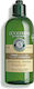 L'Occitane Aromachologie Volume & Strength Shampoos für Alle Haartypen 300ml