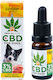 Euphoria Cbd 3% Dogs Cannabis Oil for Dogs 10ml for Anxiety & Stress Management EUP0136