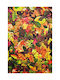 Teppich Heaven 5407 Multi 160X230cm