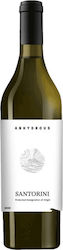 Anhydrous Fass Weiß Trocken Santorini 750ml Anhydrous Fass Weiß Trocken Santorini 750ml