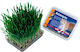 Nobby Grass Cat Grass for Cats 100gr 71900