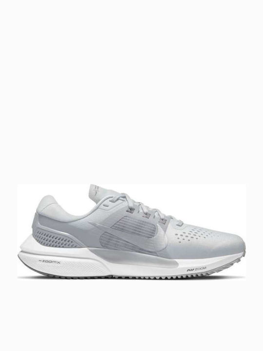Nike Air Zoom Vomero 15 Γυναικεία Αθλητικά Παπούτσια Running Pure Platinum / Wolf Gray / Polar Gray / Metallic Silver