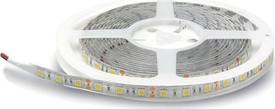 Geyer Bandă LED Alimentare 12V cu Lumină Roșu Lungime 5m SMD5050