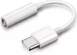 Andowl Q-ZJ1 USB-C male σε 3.5mm female