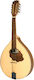 Gewa Akustisch Mandoline Mandola Pro Natura Silver mit flachem Körper