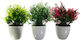 Viosarp Artificial Plant in Small Pot 23cm 1pcs (Various Colors)