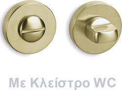 Convex Rosette with Safety Lock 2015 in Matte Brass