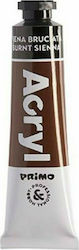 Primo Acryl Acrylic Paint Set in Brown color Brown Burnt Sienna 18ml 1pcs 405R730