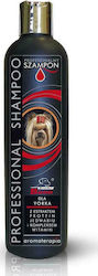 Certech Super Beno Professionelles Hundeshampoo für Yorkies 250ml