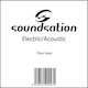 Soundsation Single Steel String for Acoustic Guitar / Electric Guitar Electric/Acoustic .013"