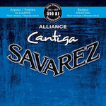 Savarez Alliance Cantiga High Tension