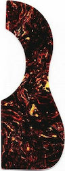 D'Andrea Pickguard pentru Chitară acustică Large Shell