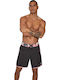 Men's Swimwear Bermuda Gray Striped