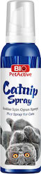 Bio Petactive Catnip Spray pentru Pisici Spray atrăgător 100ml BP241