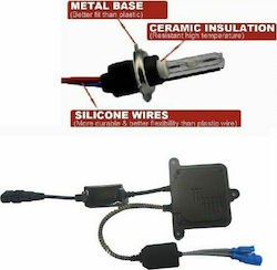 Bizzar Xenon Σετ Φωτισμού Αυτοκινήτου H10 Can bus 35W 12V 6000K Ψυχρό Λευκό