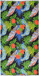 FMS Women's Beach Towel Pom-Pom Peacock 90x170cm Multicolor