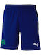 Panathinaikos 2016/17 Away/Home Shorts Style Football