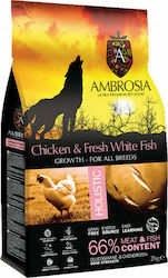 Ambrosia Chicken & Fresh Fish Growth All Breeds 6kg Ξηρά Τροφή χωρίς Σιτηρά για Κουτάβια Μεγαλόσωμων Φυλών με Κοτόπουλο και Ψάρια