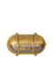 Lightup Wall-Mounted Outdoor Turtle Light E27 IP64