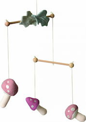 Egmont Mushroom Κούνιας