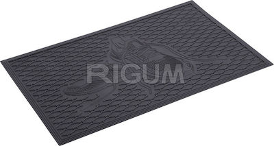 Rigum 500011