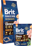 Brit Premium by Nature Senior Small/Medium 15kg Hrană Uscată pentru Câini Seniori de Rase Mici și Medii cu Porumb și Pui