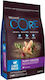 Wellness Core Puppy Original Large Breed 10kg D...