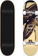 Aloiki Bali 8" Complete Shortboard Πολύχρωμο