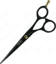 Dafnis Creole Black Plasma Hair Cutting Trimming Scissor 6.25"