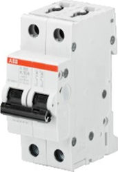 Abb Automatischer Schutzschalter 4A Zweipolig AC 24830