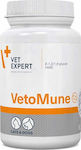 VetExpert Vetomune Συμπλήρωμα Διατροφής Σκύλου για την Ενίσχυση του Ανοσοποιητικού Συστήματος 60 tabs