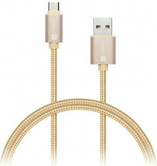 Canyon CFI3 Braided USB to Lightning Cable Χρυσό 1m (CN-CFI3-LG)
