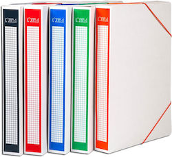 IONIA Box File Box with Rubber Band 35x4x27cm