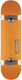 Globe Goodstock 8.125" Komplett Kurzboard Orange