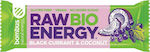 Bombus Organic Bar Energy / Raw with Gooseberry & Coconut No Added Sugar (1x50gr) 50gr