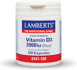 Lamberts Vitamin D3 Βιταμίνη 2000iu 30 κάψουλες Lamberts Vitamin D3 Βιταμίνη 2000iu 30 κάψουλες