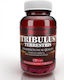 Fit & Shape Tribulus Terrestris Συμπλήρωμα για Λίμπιντο & Ενίσχυση της Τεστοστερόνης 120 κάψουλες