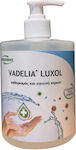 Ikochimiki Vadelia Luxol Antiseptic Liquid Hand Wash with Pump 500ml