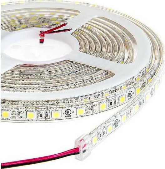 Αδιάβροχη Ταινία LED 12V Ψυχρό Λευκό Φως 5m Τύπου SMD5050