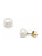 Emphasis Earrings made of Gold 14K with Stones & Pearls