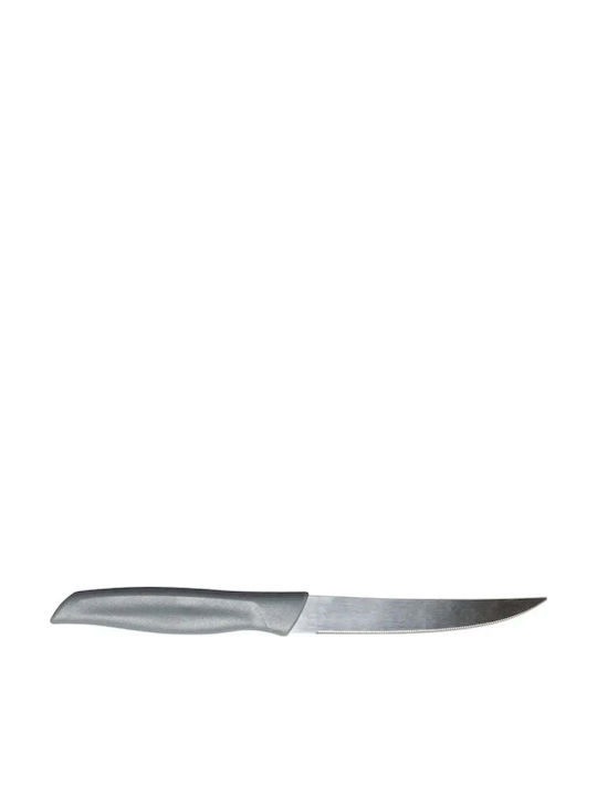 Nirosta Kitchen Knife 10.5/21.5cm Grey
