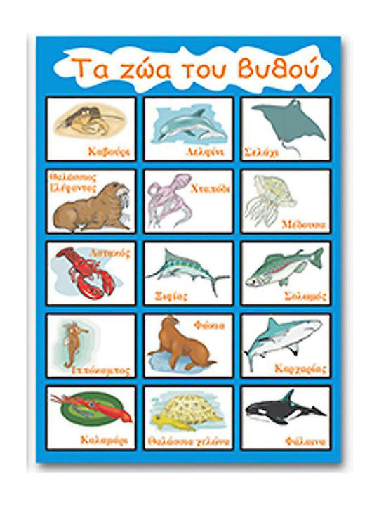 Next Εκπαιδευτική Παιδική Αφίσα Τα Ζώα Του Βυθού 50x70εκ.