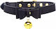 XR Master Series Golden Kitty Collar with Cat Bell Halsband in Schwarz Farbe